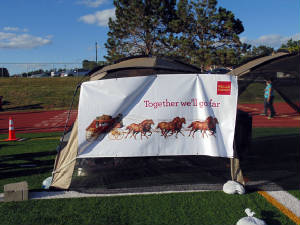 13-wellsfargo.jpg