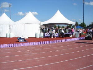 23purplelumibags.jpg