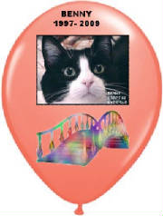 bennysballoon2.jpg