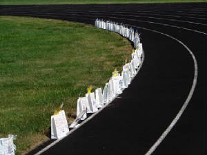lumistarbagsontrack.jpg