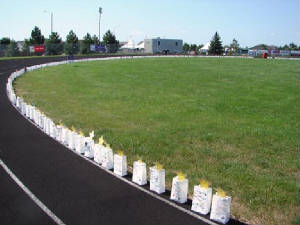 lumistarsbagsontrack.jpg