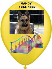 mandysballoon.jpg