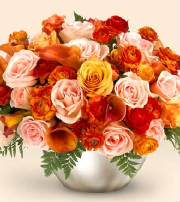roses.jpg
