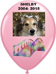 shelbysballoon2.jpg