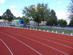 trackbags.jpg