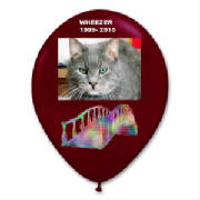 wheezersballoon.jpg