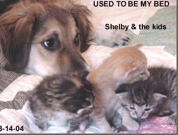 031-bigsistershelby.jpg