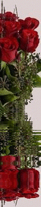 cf47486932_130622069184.gif