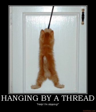 hanging-by-a-thread-kitten-demotivational-poster-1261169269.jpg