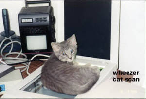 003-wheezercatscan1999.jpg