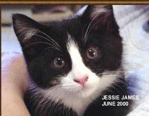 006jessiejun2000.jpg