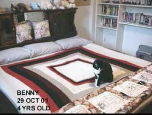 116-benny2001.jpg