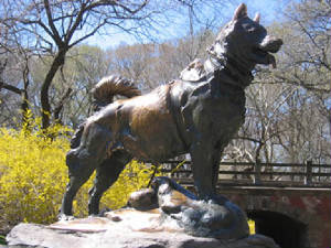 balto.jpg