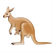 kangarooemoji.jpg