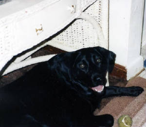 torrie1998.jpg