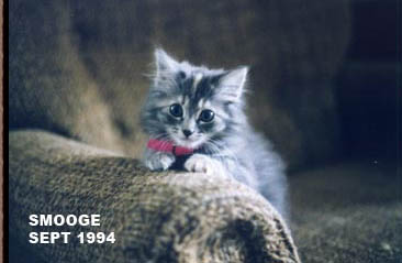 002-babysmooge1994.jpg