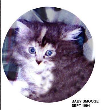 005-babysmooge-1994.jpg