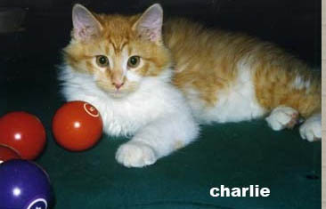 008charlie-1996.jpg