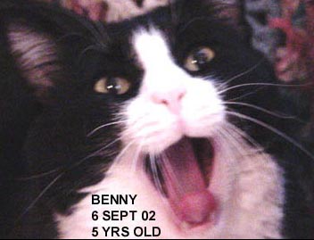 019bennybrat6sept2002.jpg