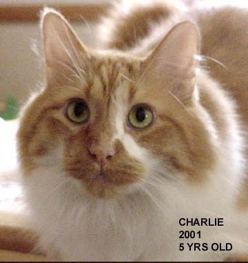 035charlie2001.jpg