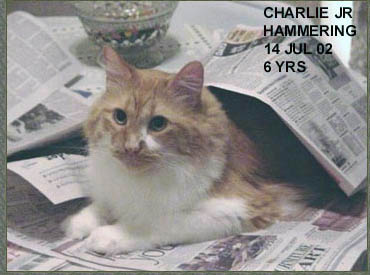 039charlie71402.jpg