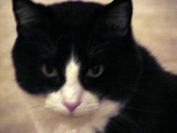 82-benny2007.jpg