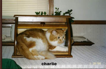 charlieinthebreadbox.jpg