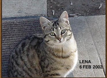 lenakitty.jpg